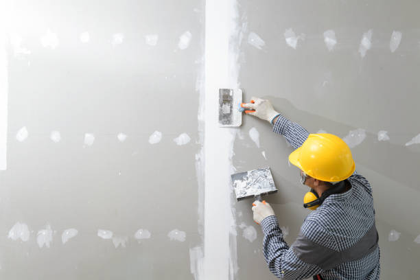 Best Mold Damage Restoration  in Lochmoor Waterway Estates, FL