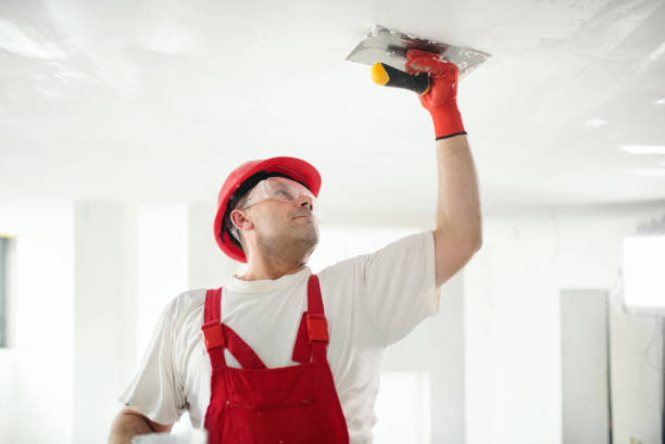 Best Industrial Mold Remediation  in Lochmoor Waterway Estates, FL