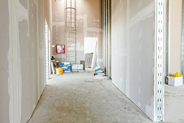 Best Air Quality Testing for Mold Spores  in Lochmoor Waterway Estates, FL